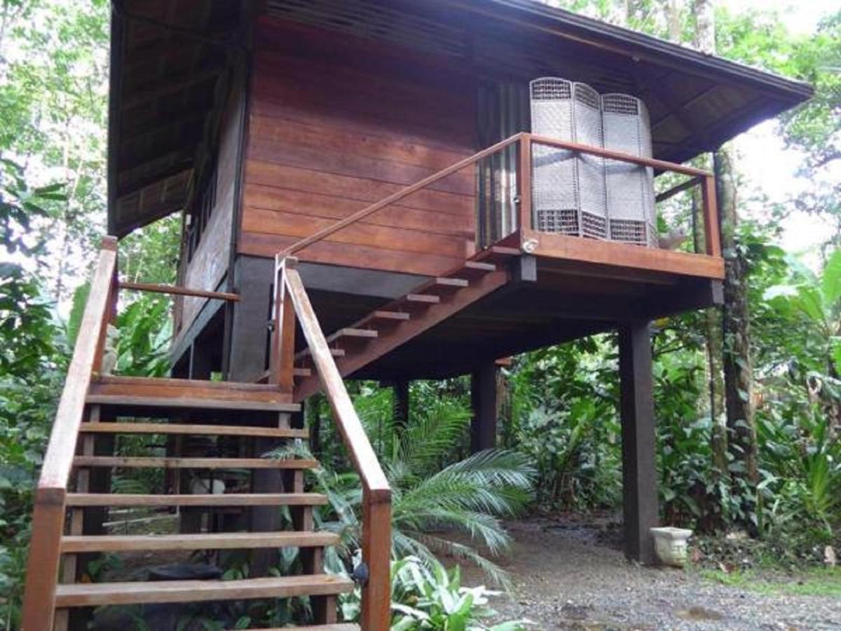 Mar Verde Lodge photo
