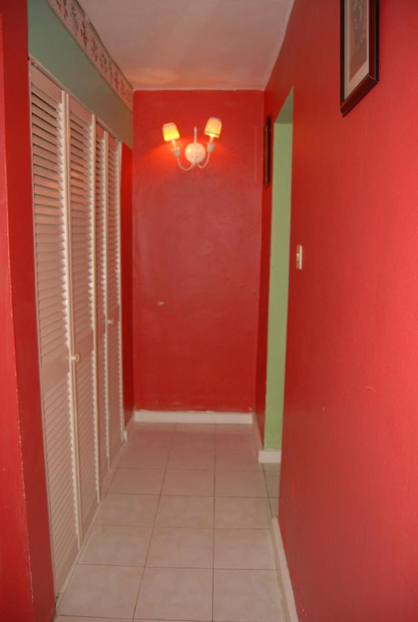 Pink Hibiscus Bed and Breakfast - 2