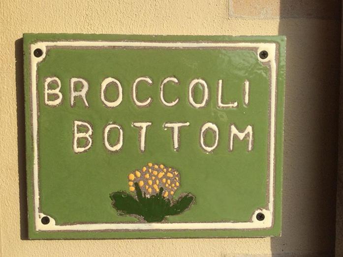 Broccoli Bottom - Laterooms