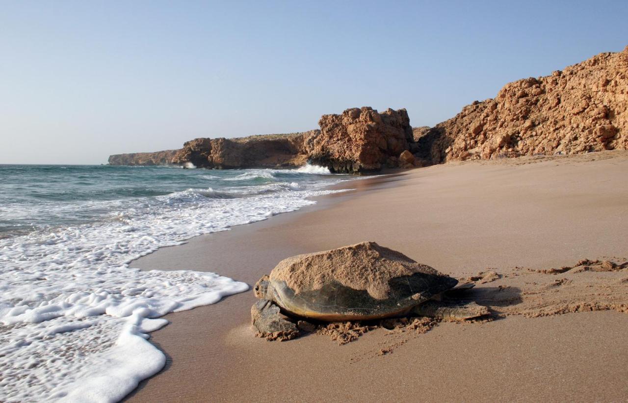 Beach: Ras Al Jinz Turtle Reserve