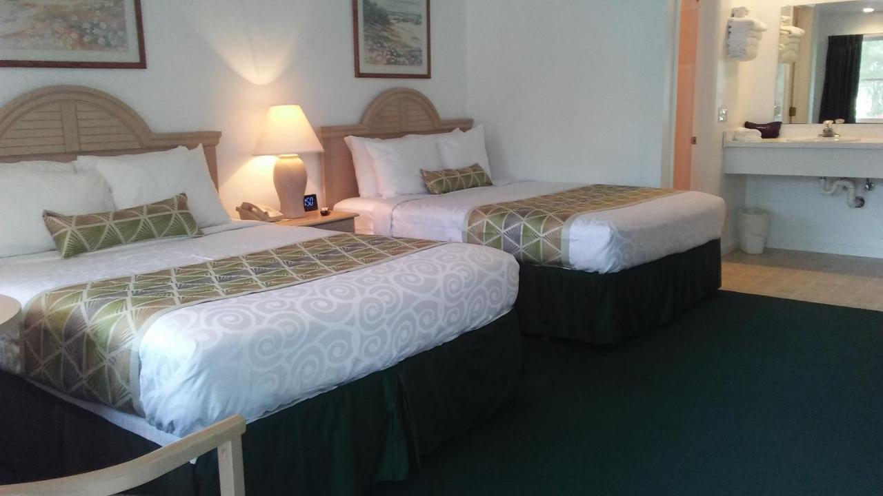 Sea Shell Motel — photo 14
