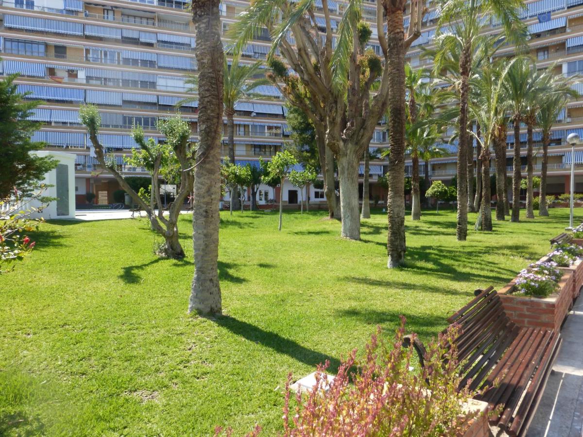 Family and Friends - San Juan Playa, Alicante – Bijgewerkte ...