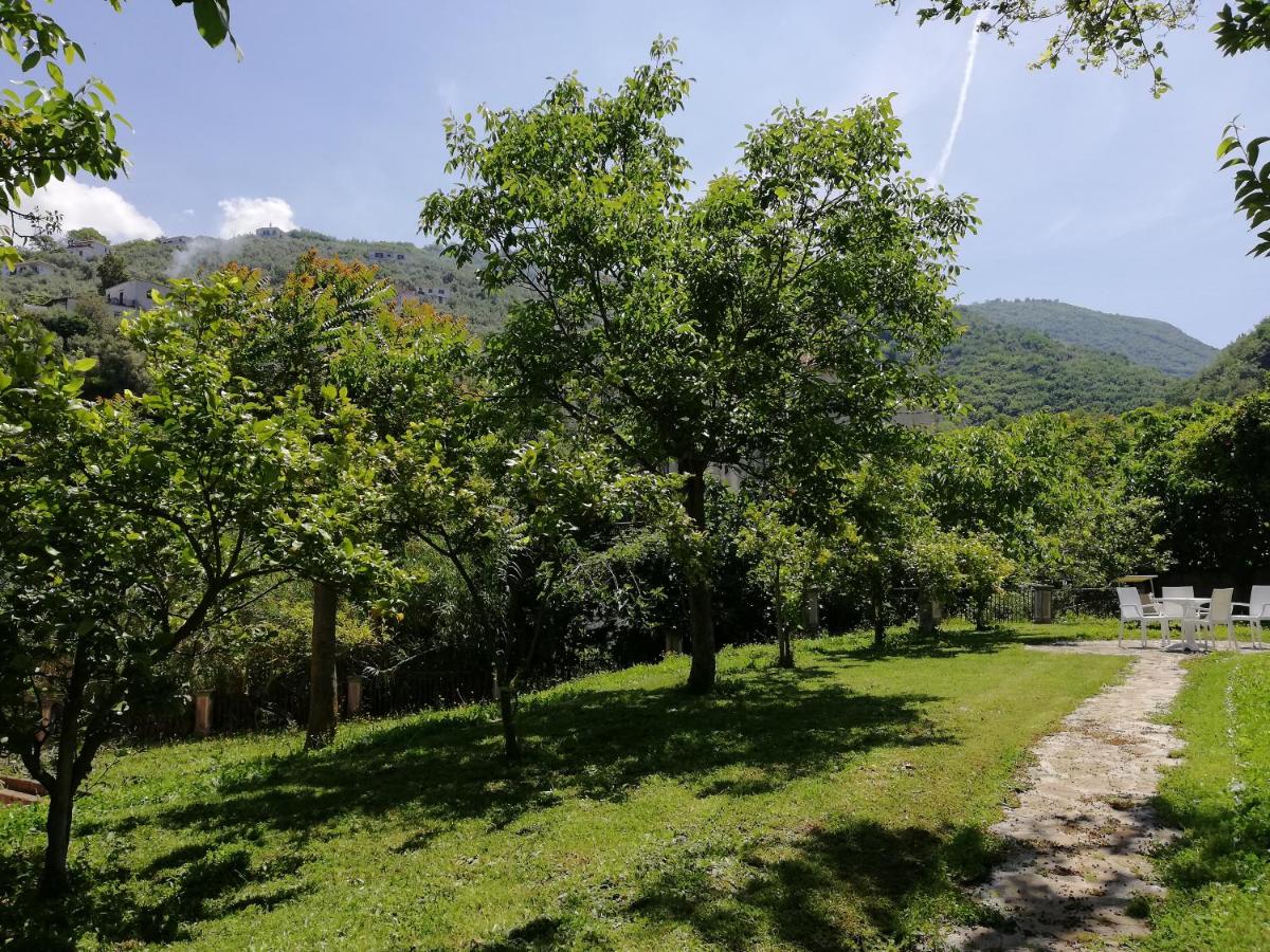 Casale Le Noci photo