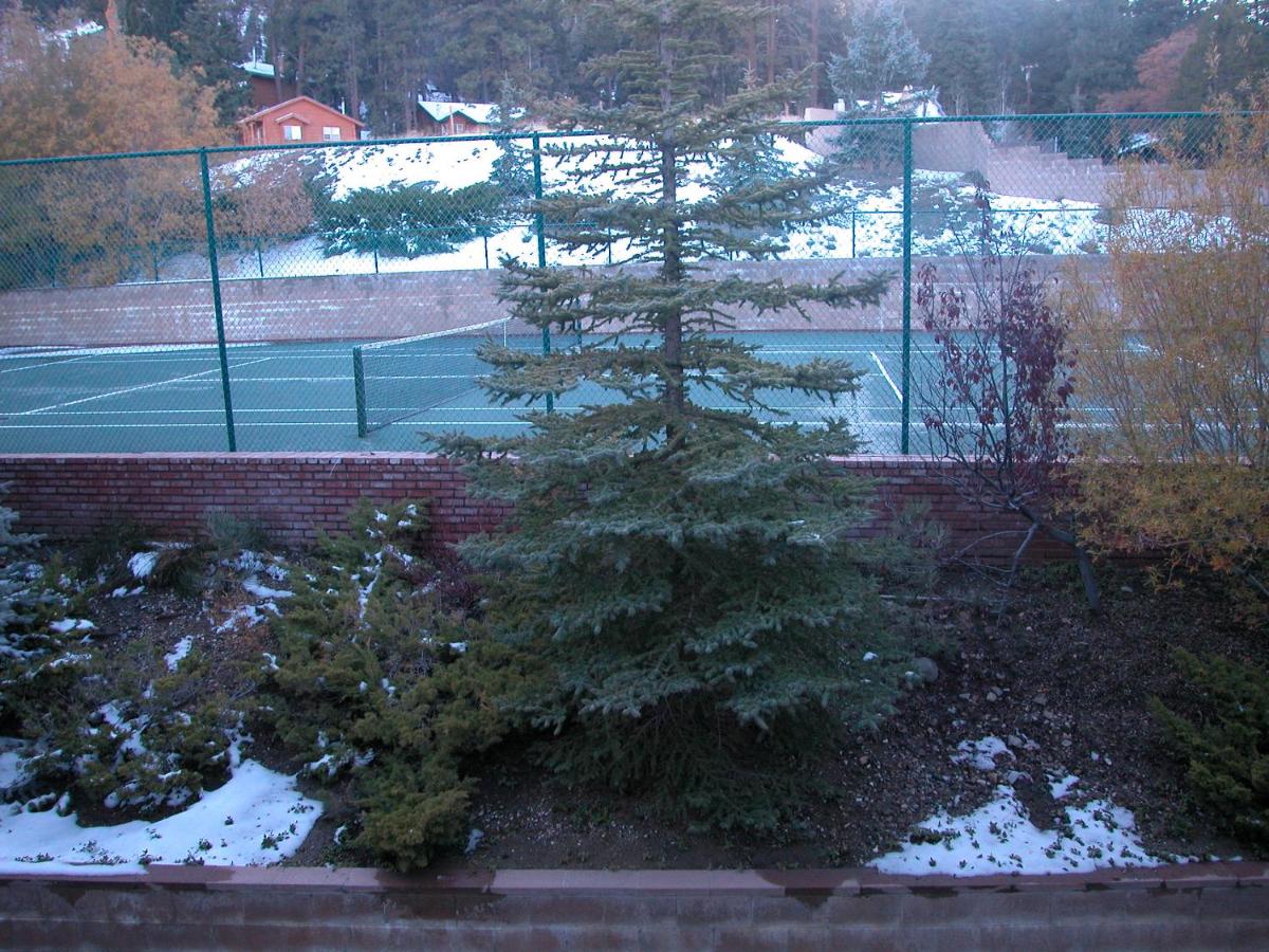 Tennis court: Slopeside Chalet