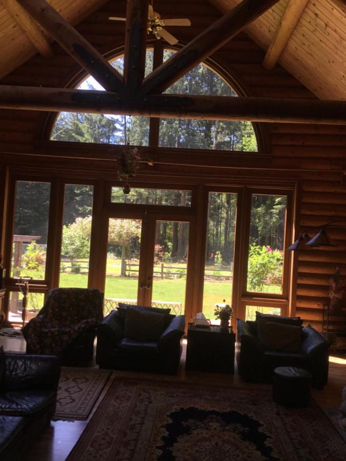 Redwood Forest — photo 1