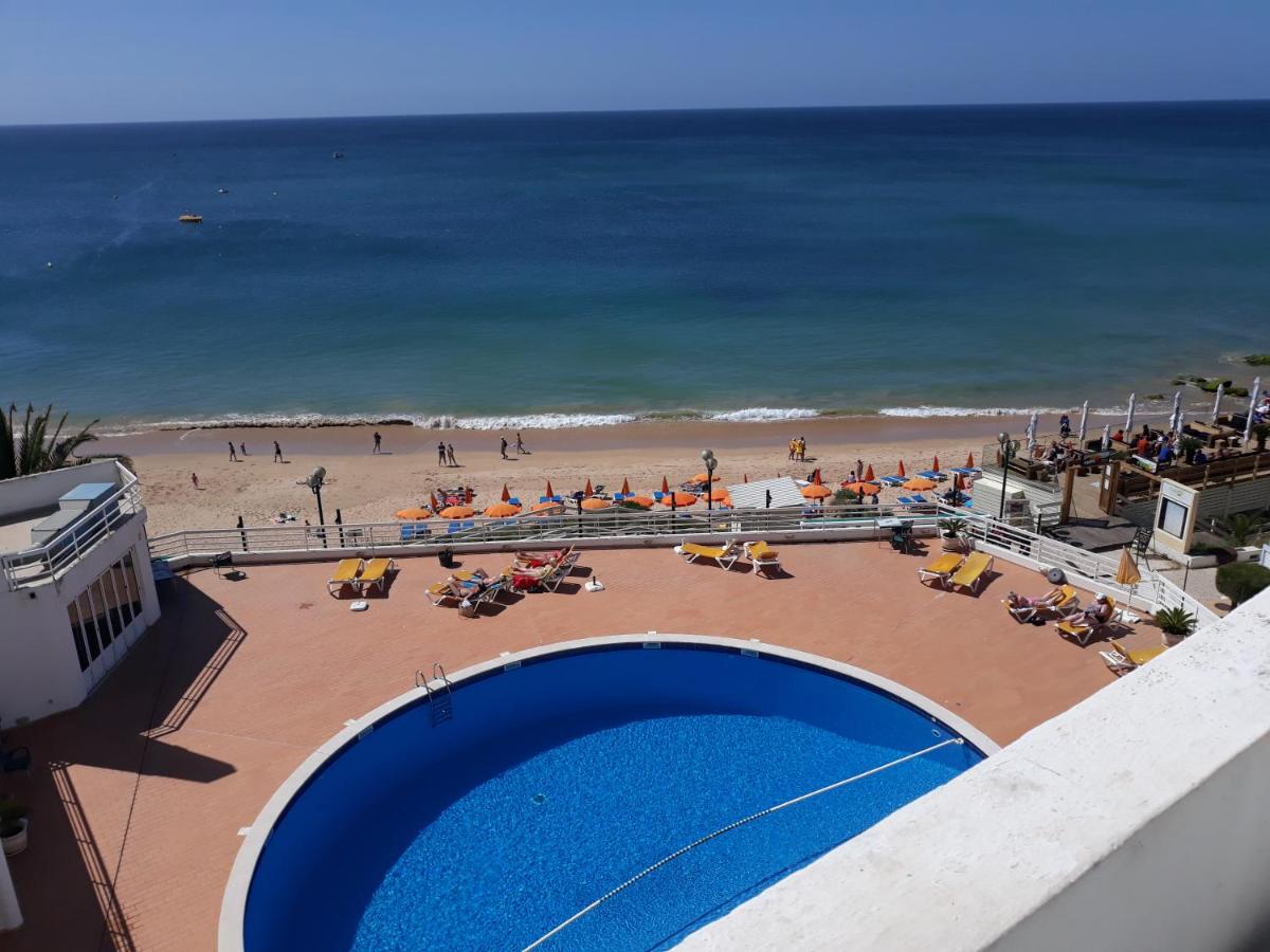 Rooftop swimming pool: venha nadar a oura
