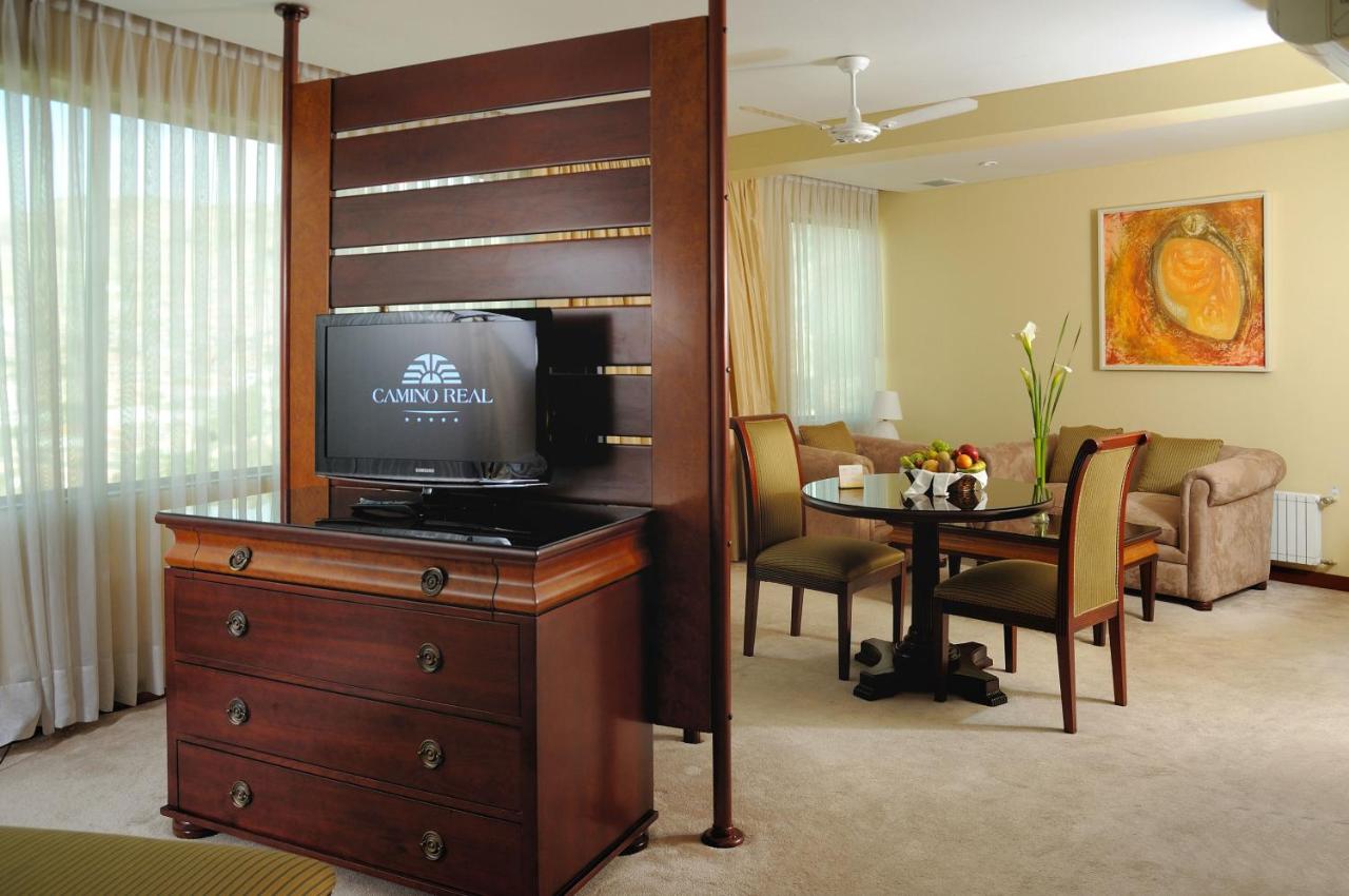 Suites Camino Real photo
