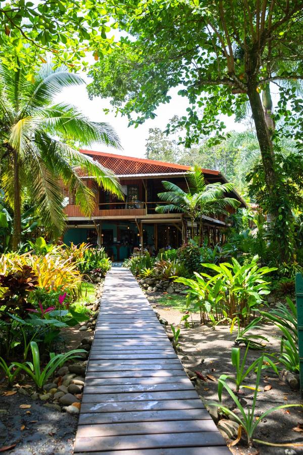 Hotel Banana Azul - Adults Only photo