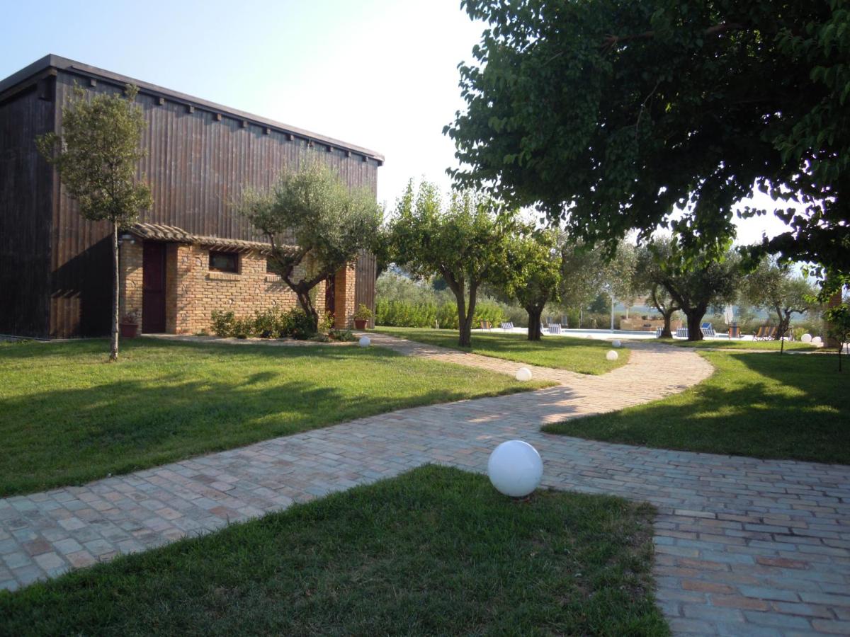 Prodotti tipici e Olio extravergine d'oliva di Loreto Aprutino