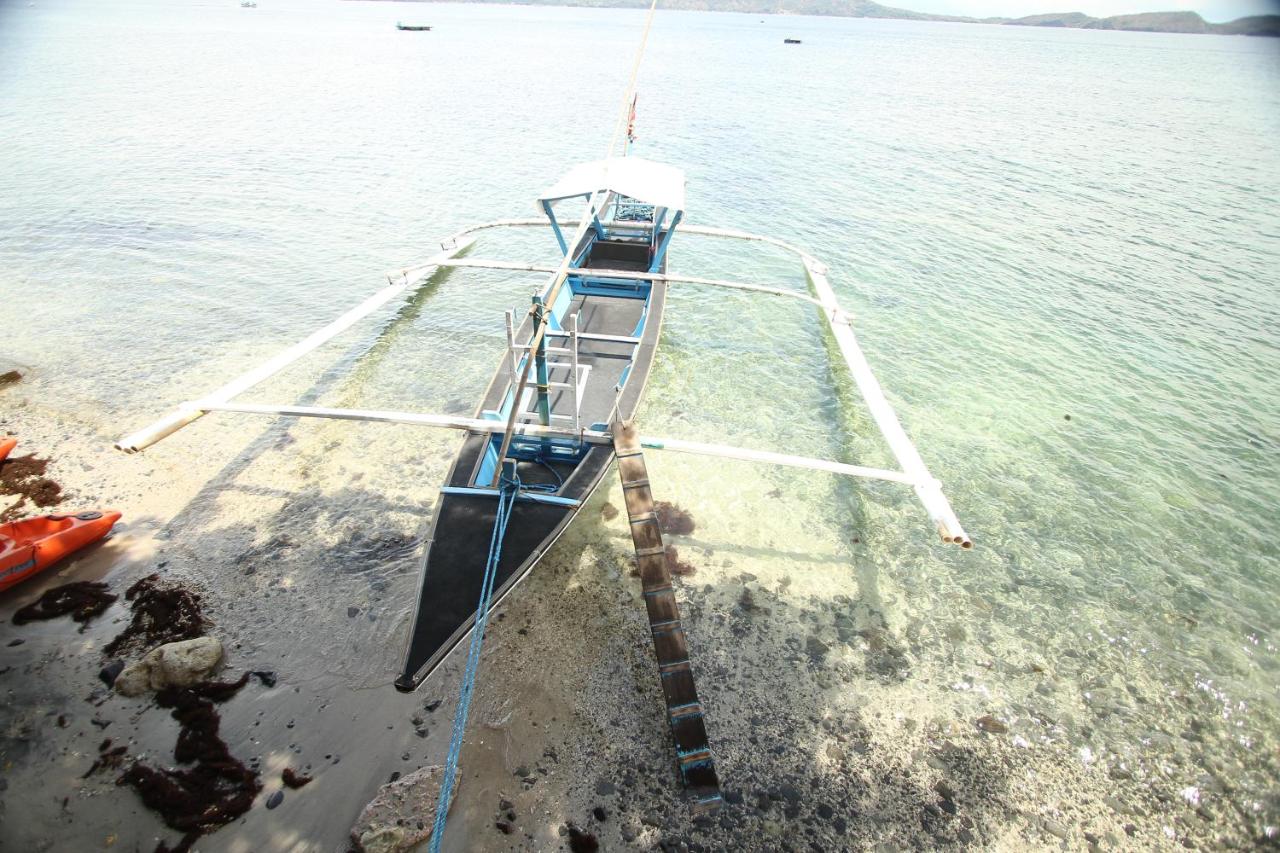 Beach: Altamare Dive and Leisure Resort Anilao