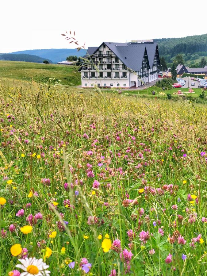 Alpina Lodge Hotel Oberwiesenthal Kurort Oberwiesenthal Aktualisierte Preise Fur 2021