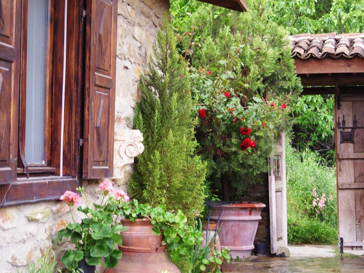 Olive İki Yatak Odalı Kır Evi - Köy Manzaralı