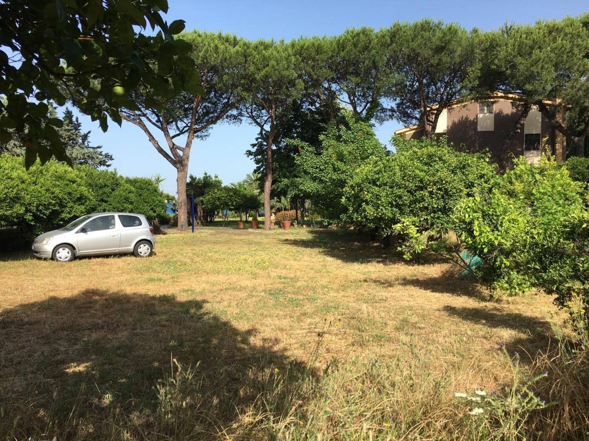 Villa Viuli photo