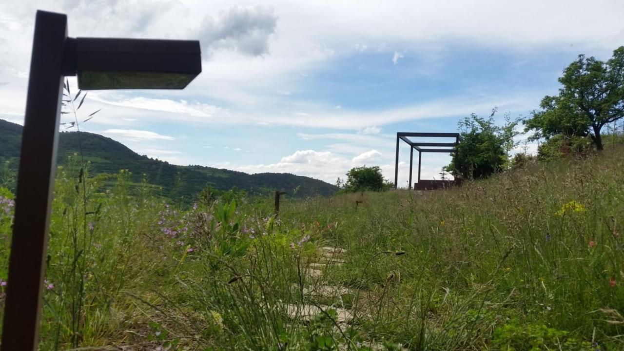 Cal Baridà, Cava – Updated 2022 Prices