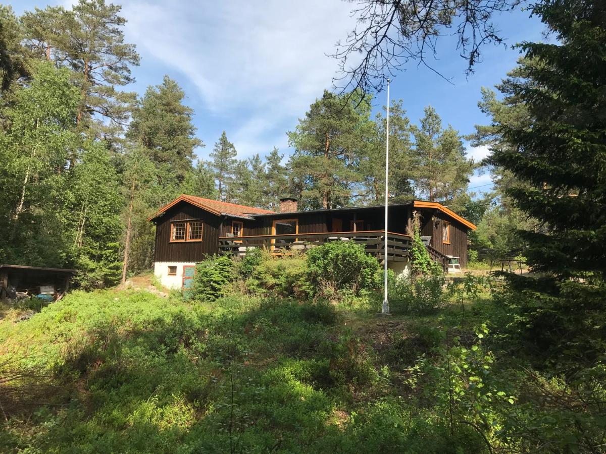 Søk Kvinner For Dating Råde, Erotisk Massasje Øyer