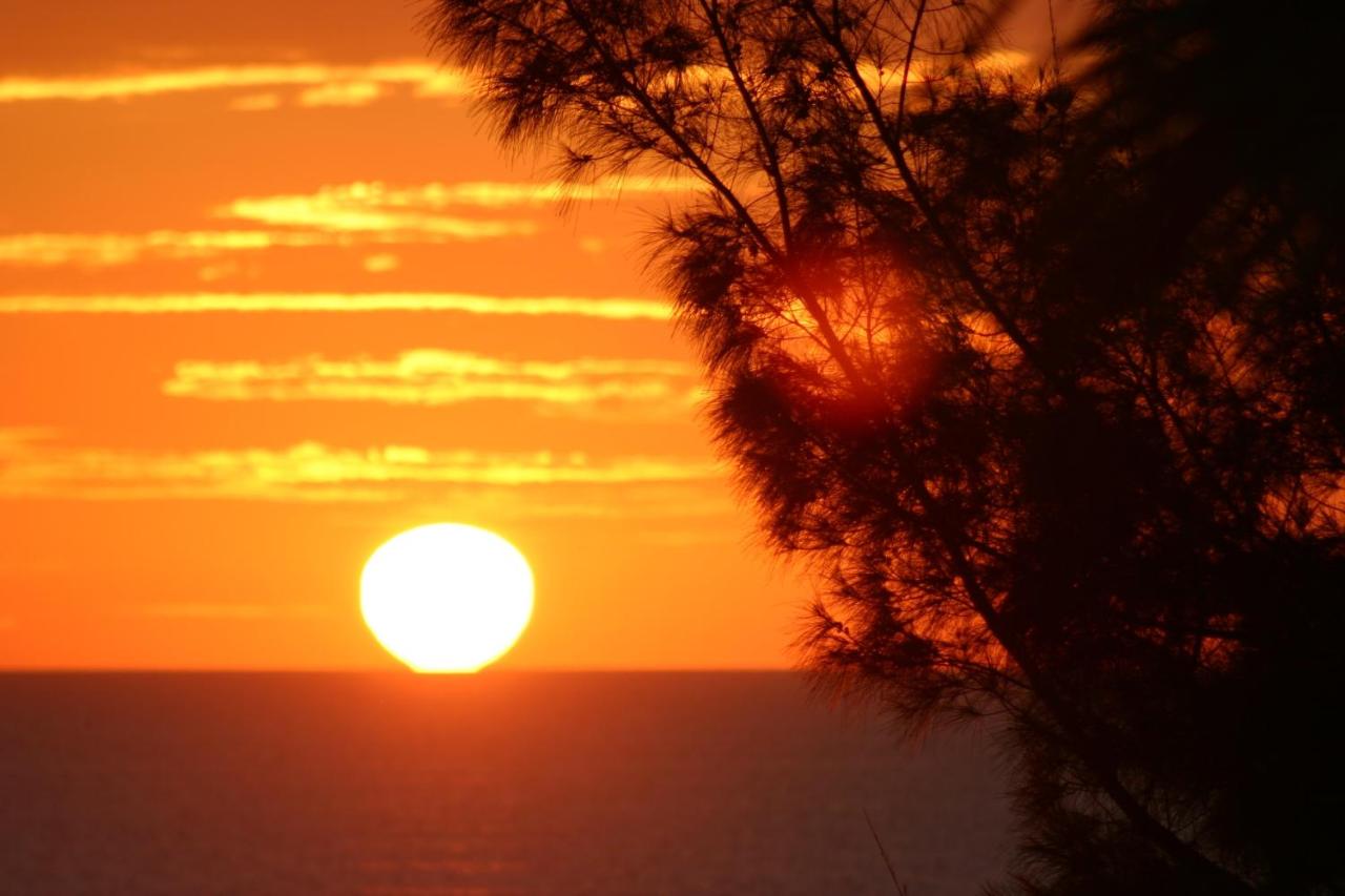 Silver Surf Gulf Beach Resort — photo 22