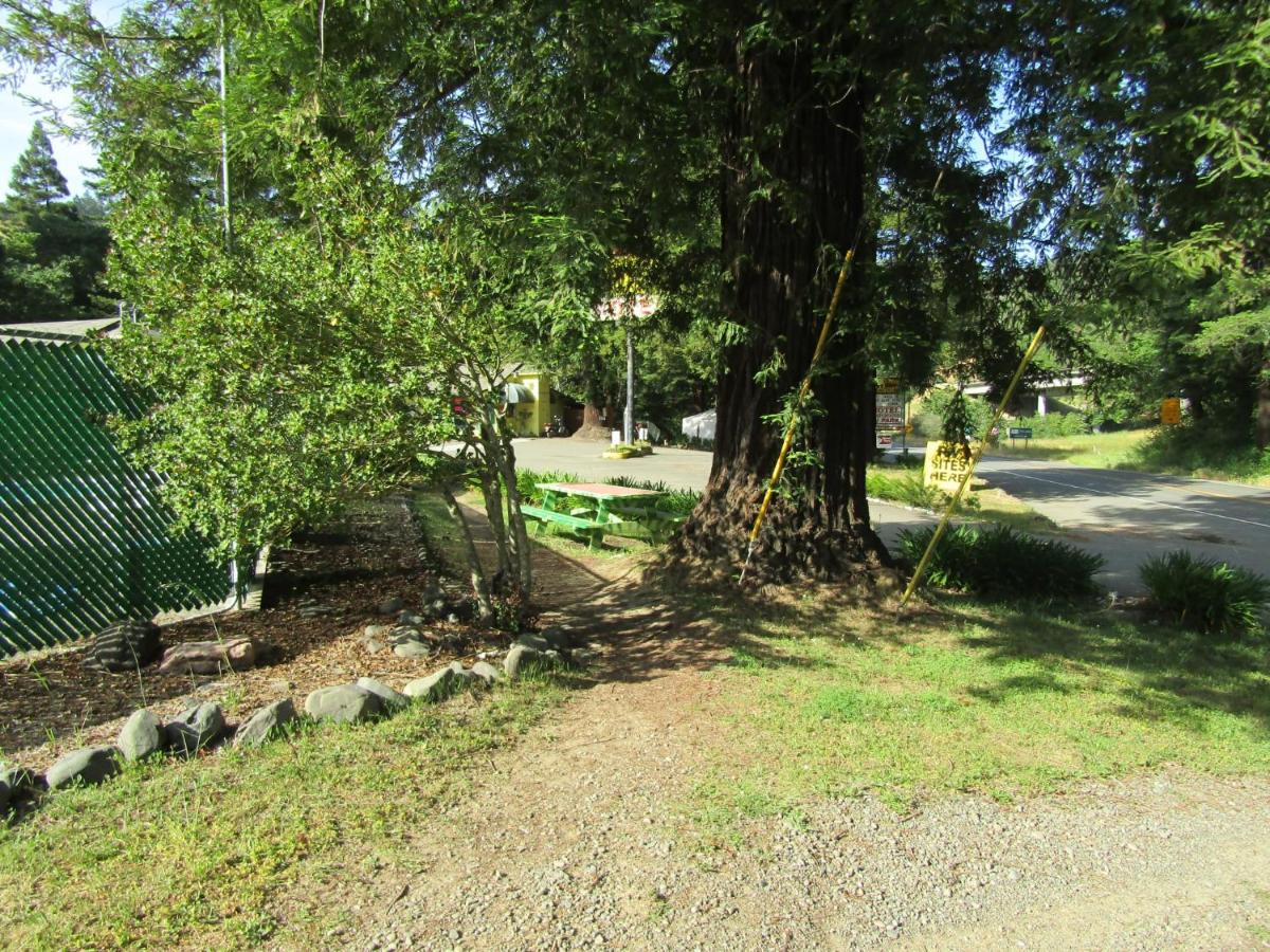 Dean Creek Resort — photo 15