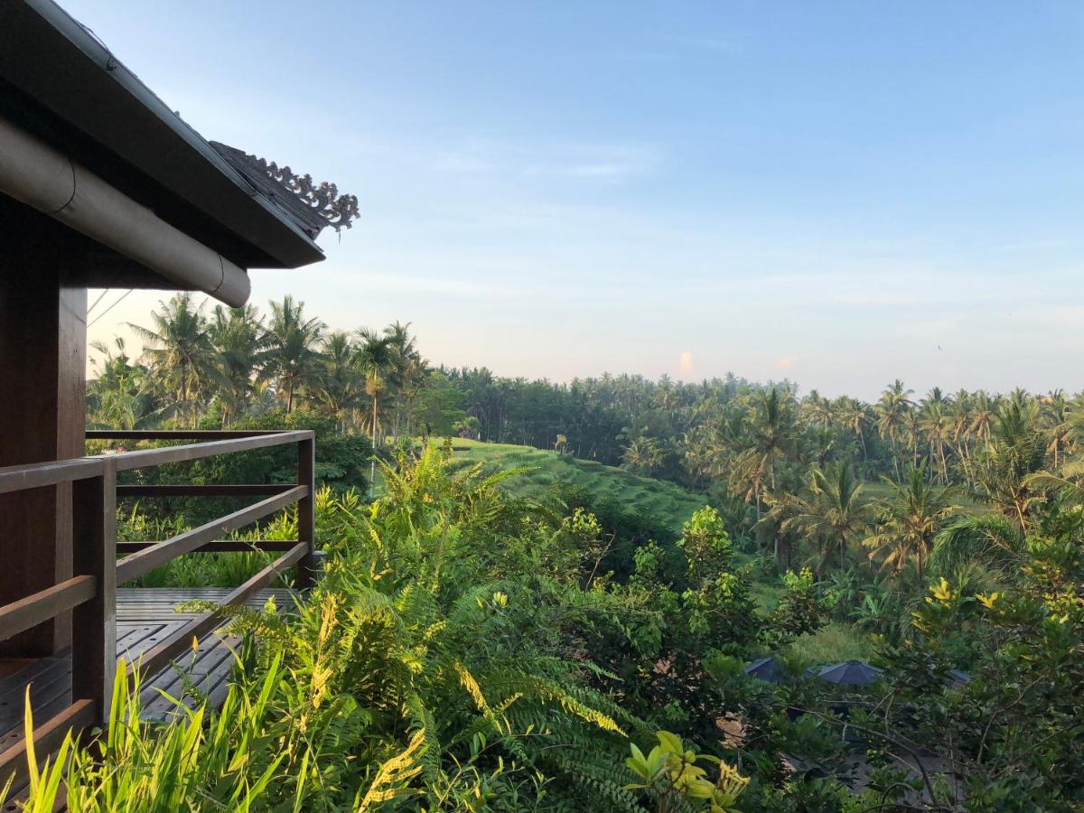 Soulshine Bali