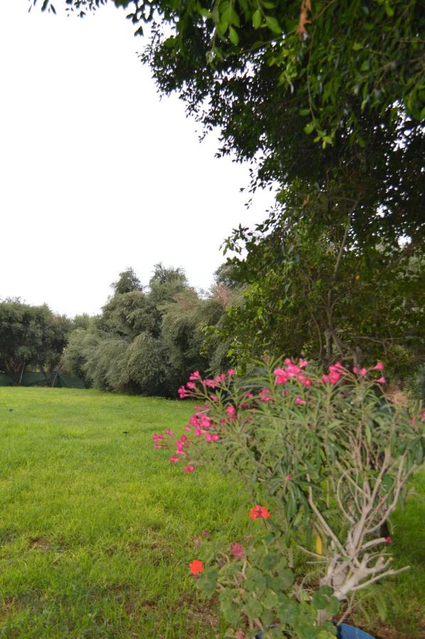 Chrysland Hotel photo