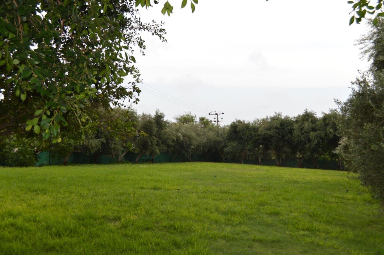 Chrysland Hotel photo
