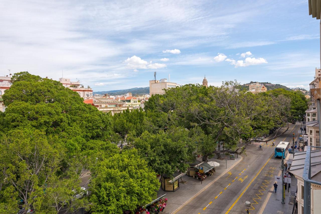 iloftmalaga Premium Alameda Principal - 4