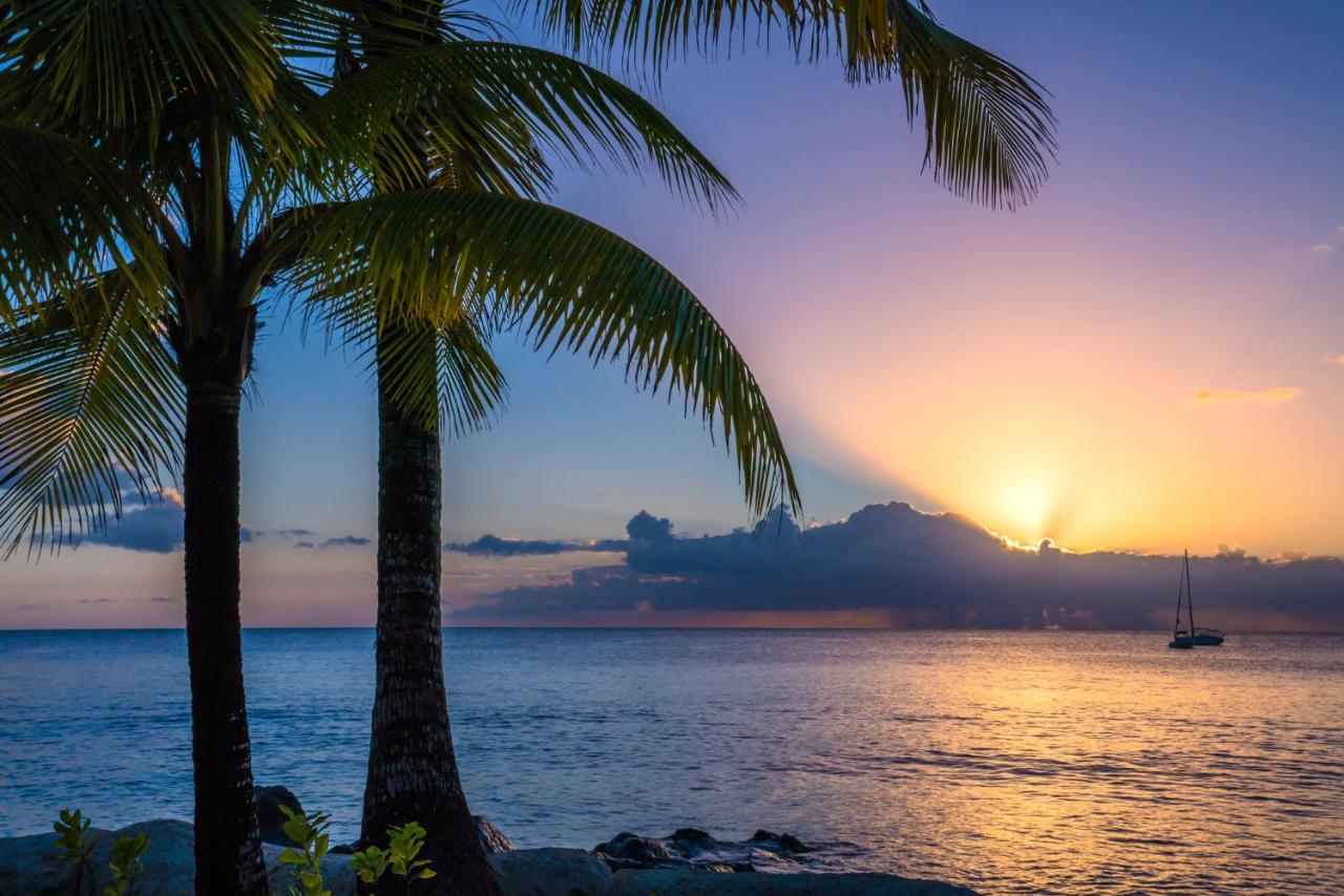 Coral Reef Club photo