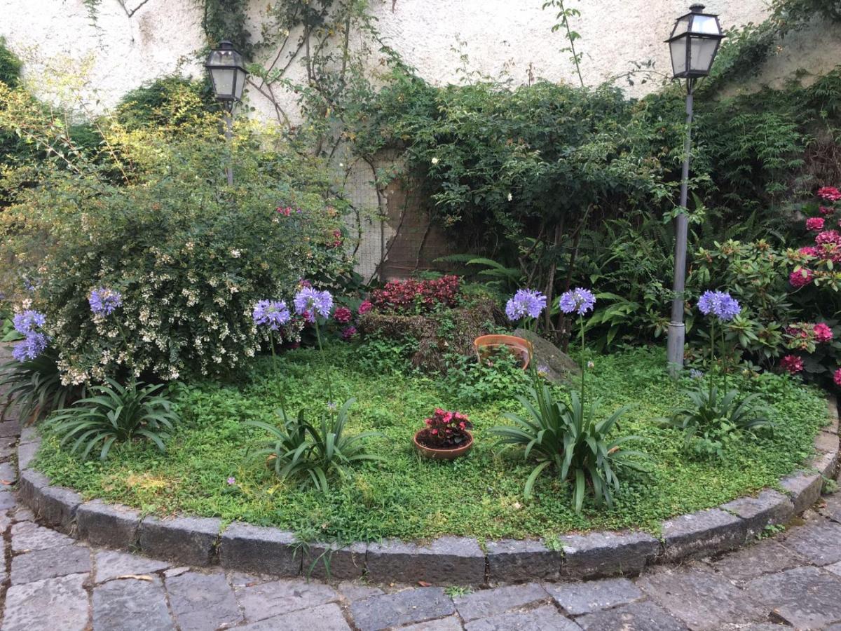 B&B La Corte photo