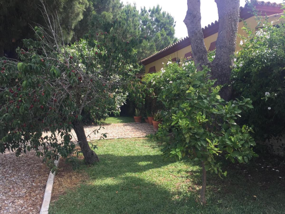Girasoles, Chiclana de la Frontera – Updated 2022 Prices