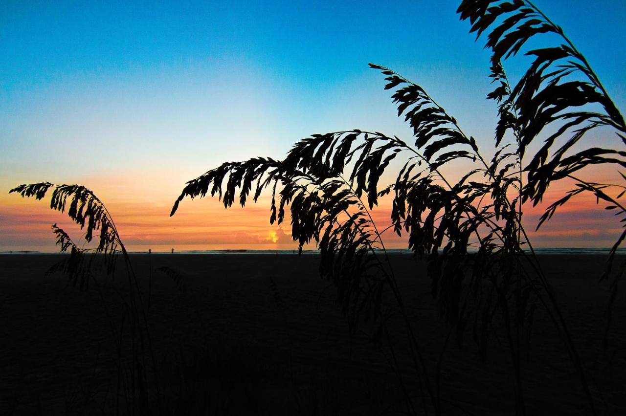 Guy Harvey Resort on Saint Augustine Beach — photo 8