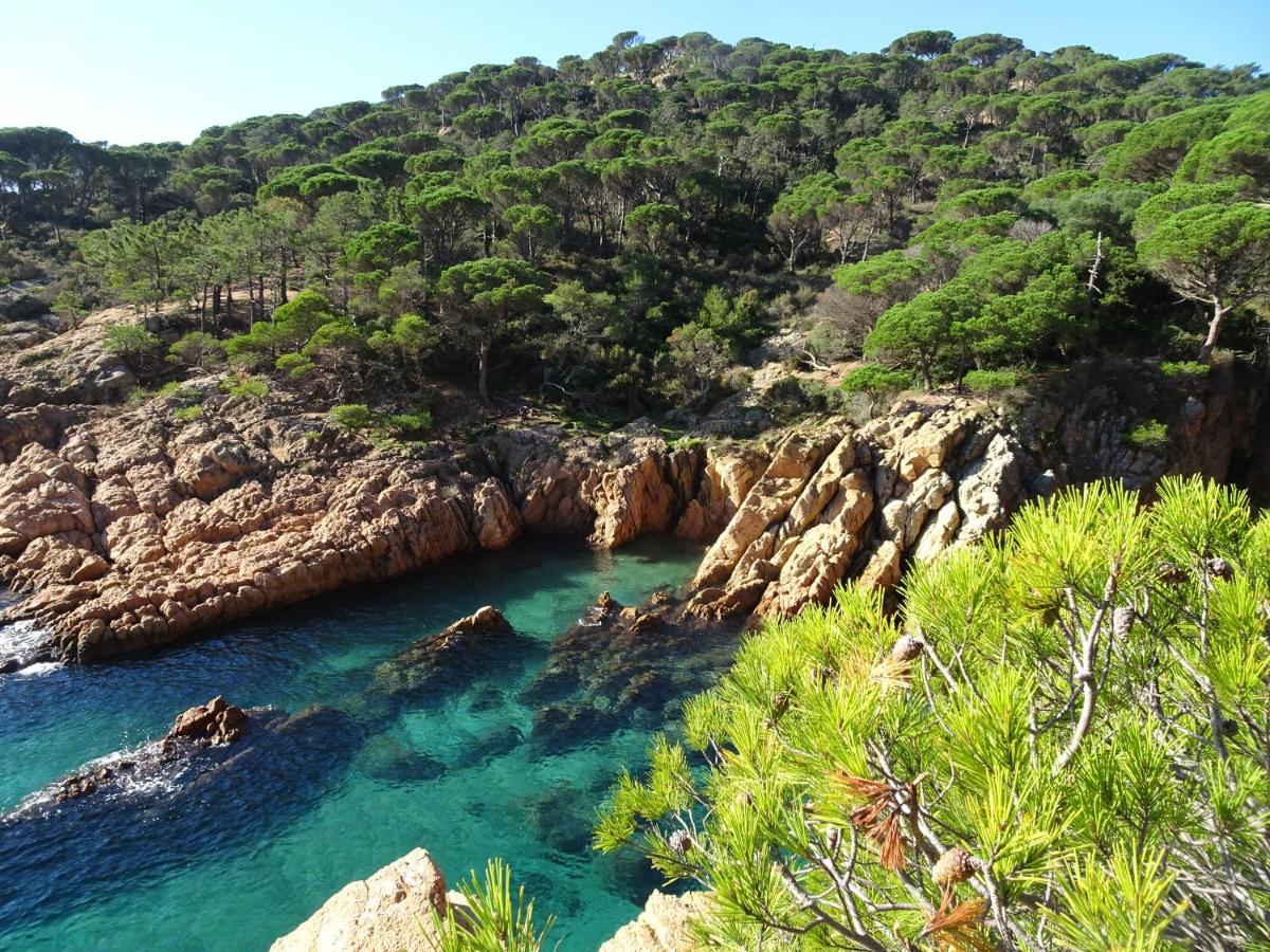 Residence Velas Garden Pool Suite, SAgaro – Bijgewerkte ...