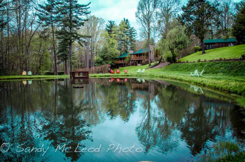 Asheville Cabins of Willow Winds — photo 10
