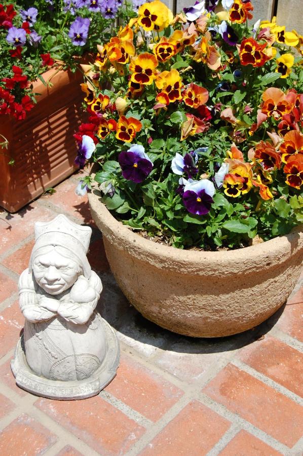 Cheshire Cat Inn & Cottages — photo 21