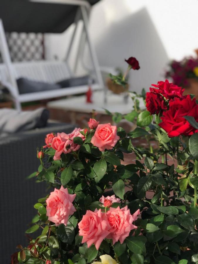 Luxury Sea Home&Terrace, Málaga – Bijgewerkte prijzen 2022