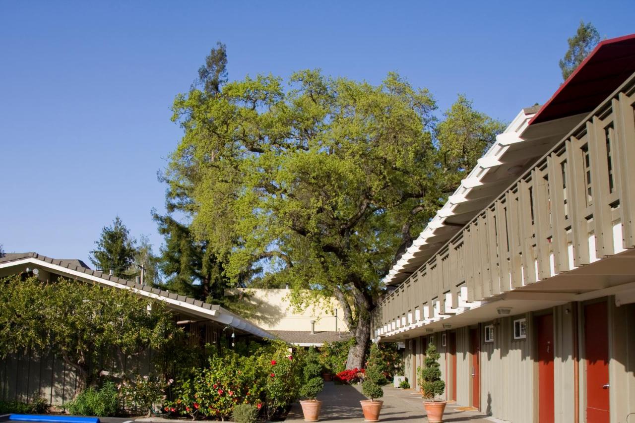 The Cottages Hotel — photo 18