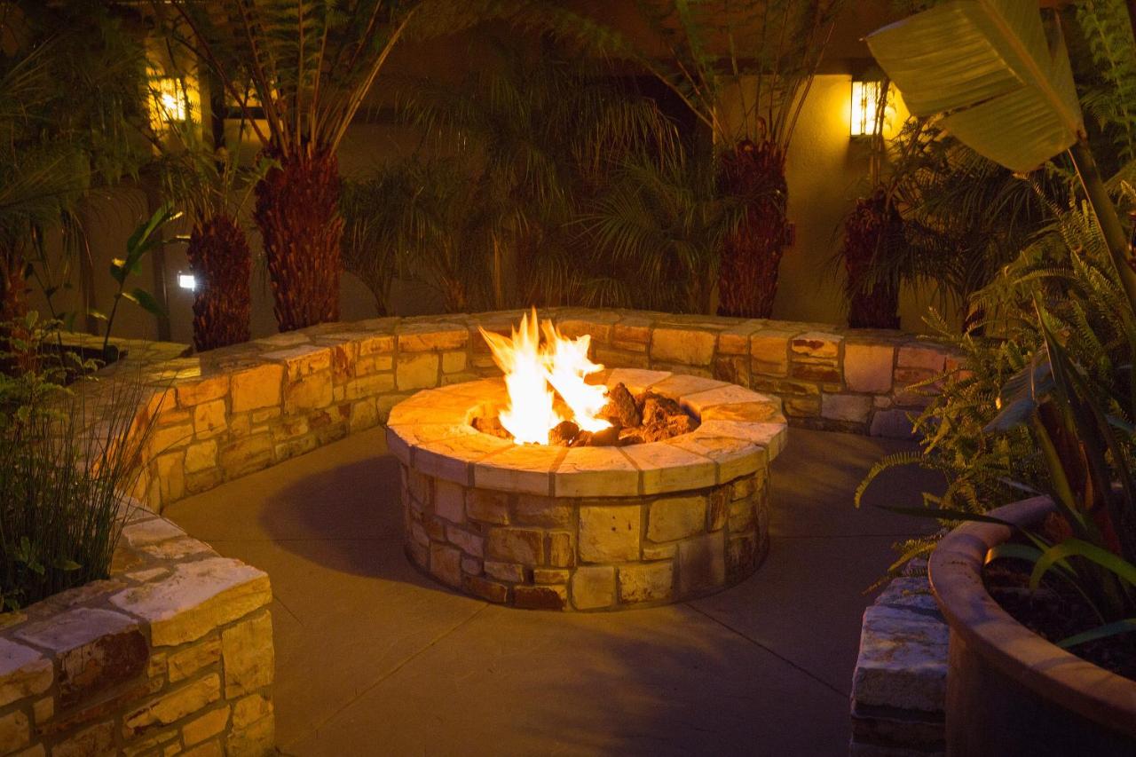 Tradewinds Carmel — photo 11