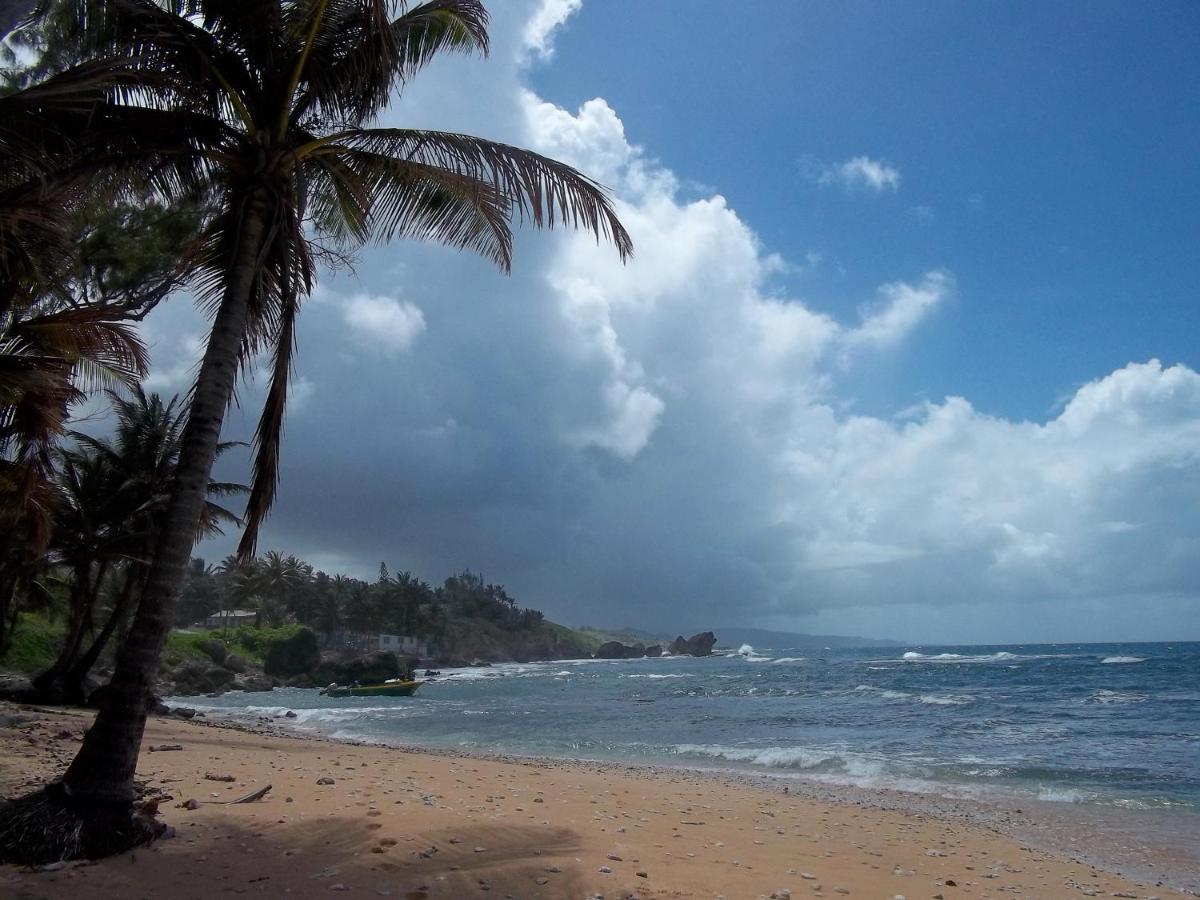 Beach: Ocean Ridge at Long Beach