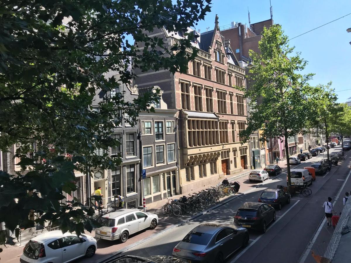 Sunflower Amsterdam - 4