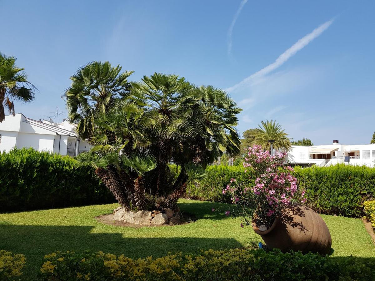 Venecia Apartments - 5