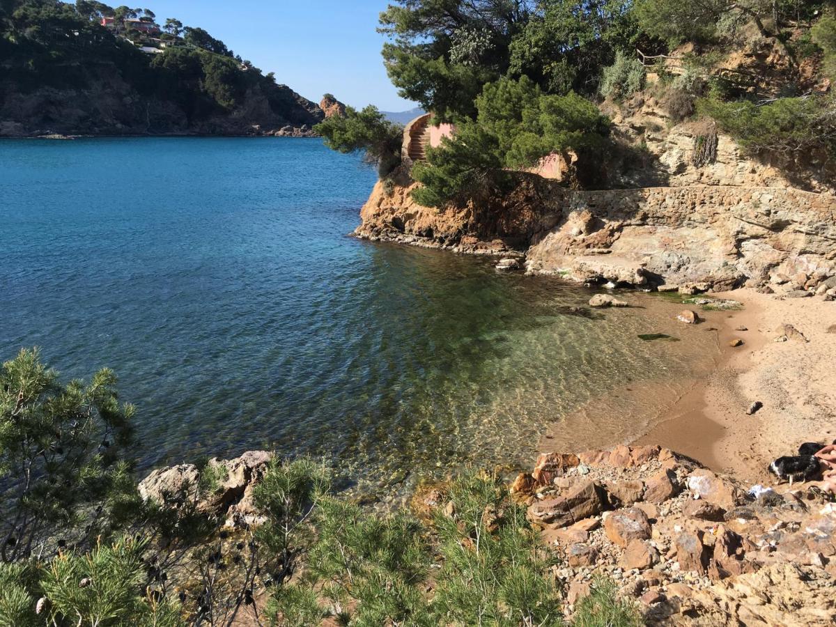 Beach: Sol Naixent Plage SA RIERA