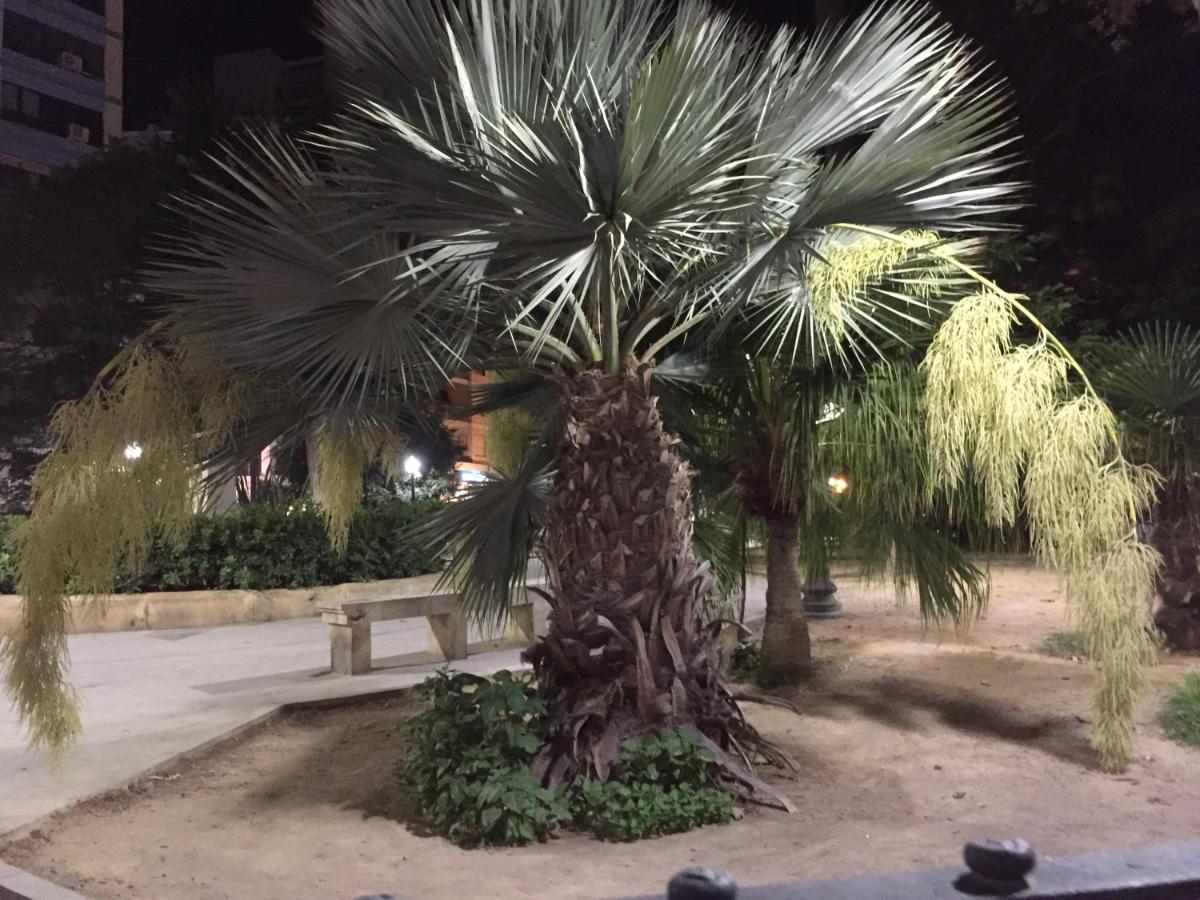 Avda Almadraba, El Campello – Updated 2022 Prices