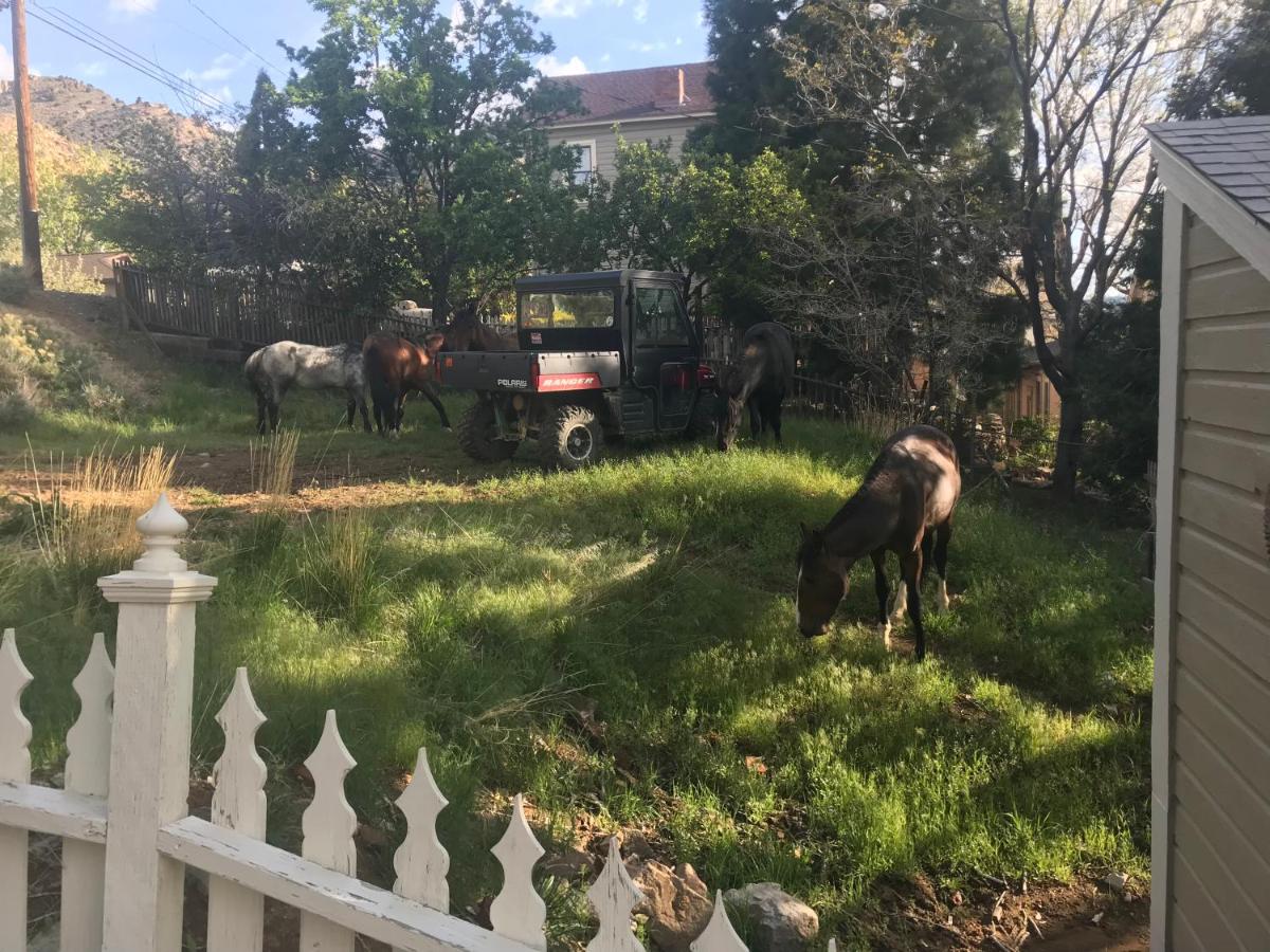 "B" Street House Bed and Breakfast — photo 11