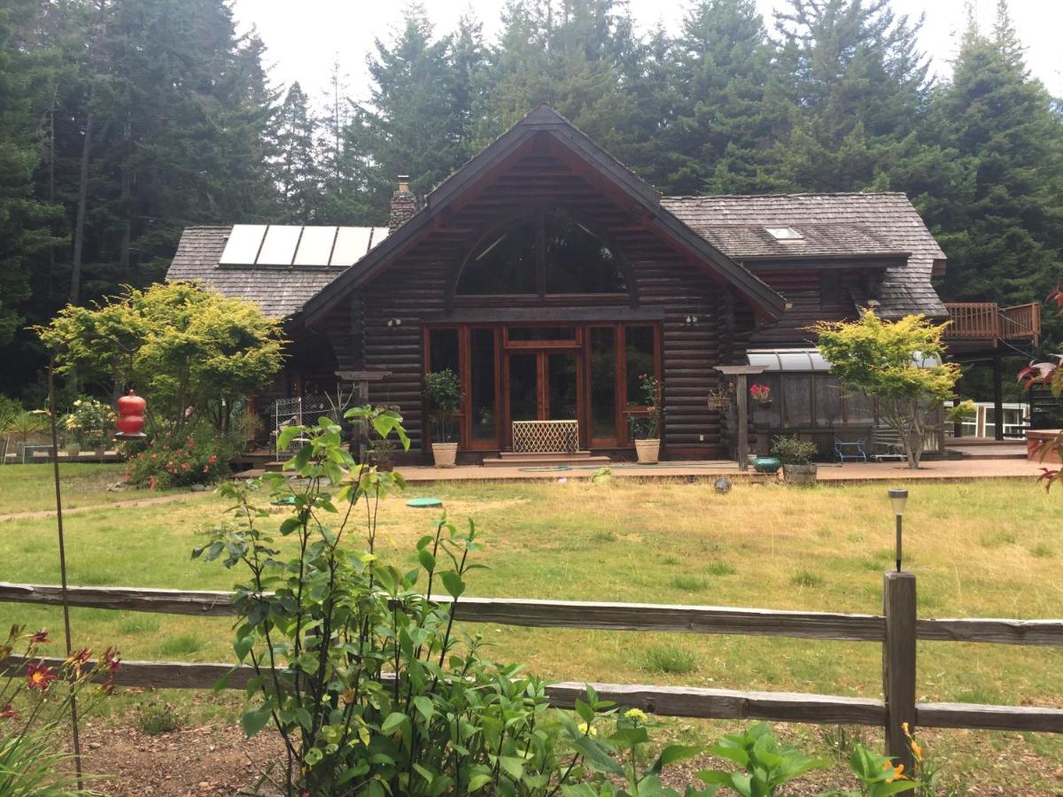 Redwood Forest — photo 6
