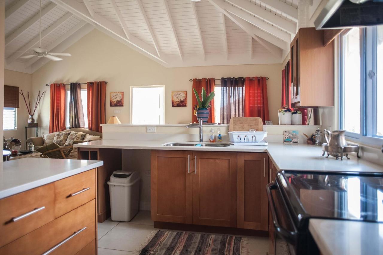 Jamaica Shades @ Cool Shades - 2