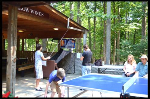 Asheville Cabins of Willow Winds — photo 13
