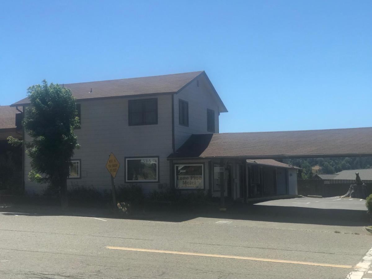 Lone Pine Motel — photo 10