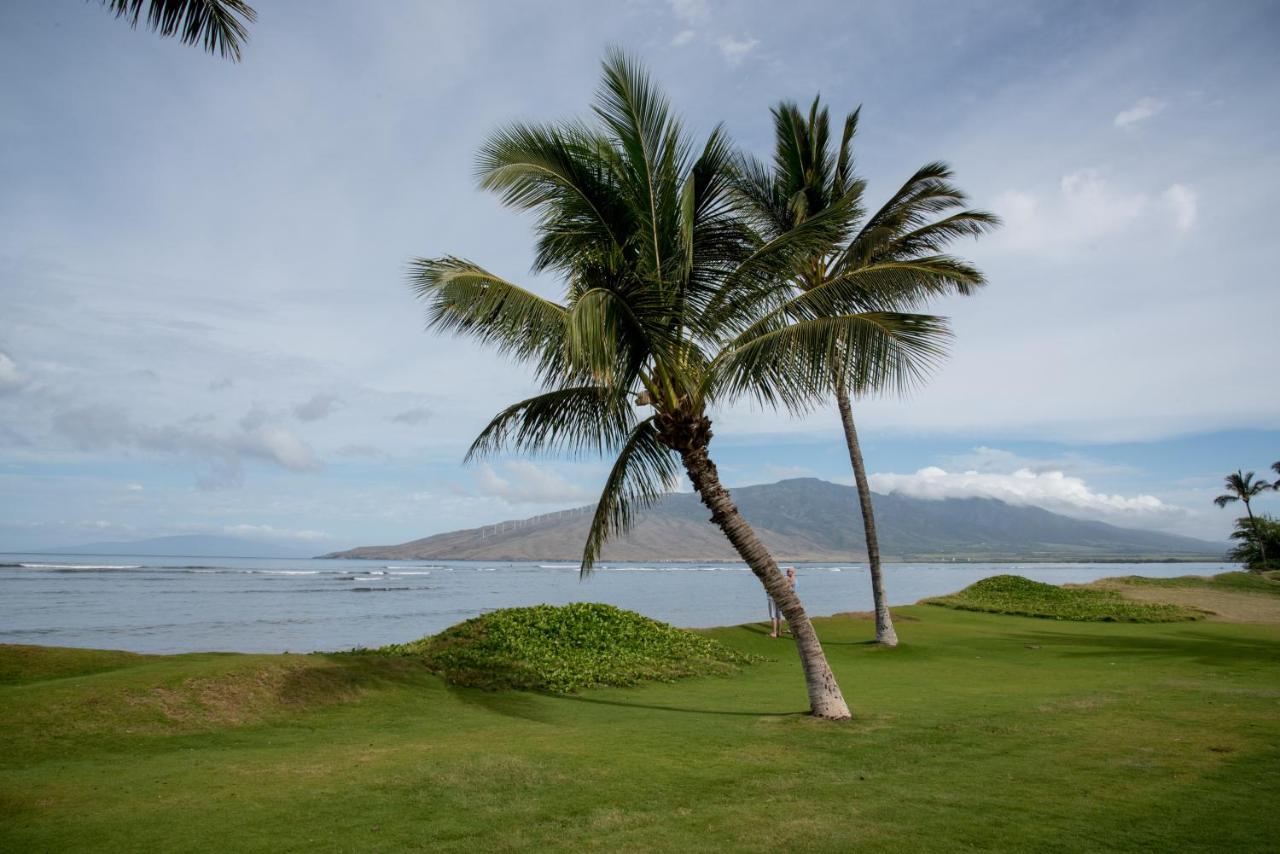 Beach: Aloha MAI2