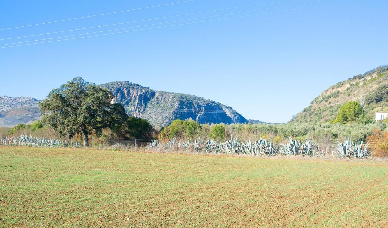 Mi Casita, Ronda – Updated 2022 Prices