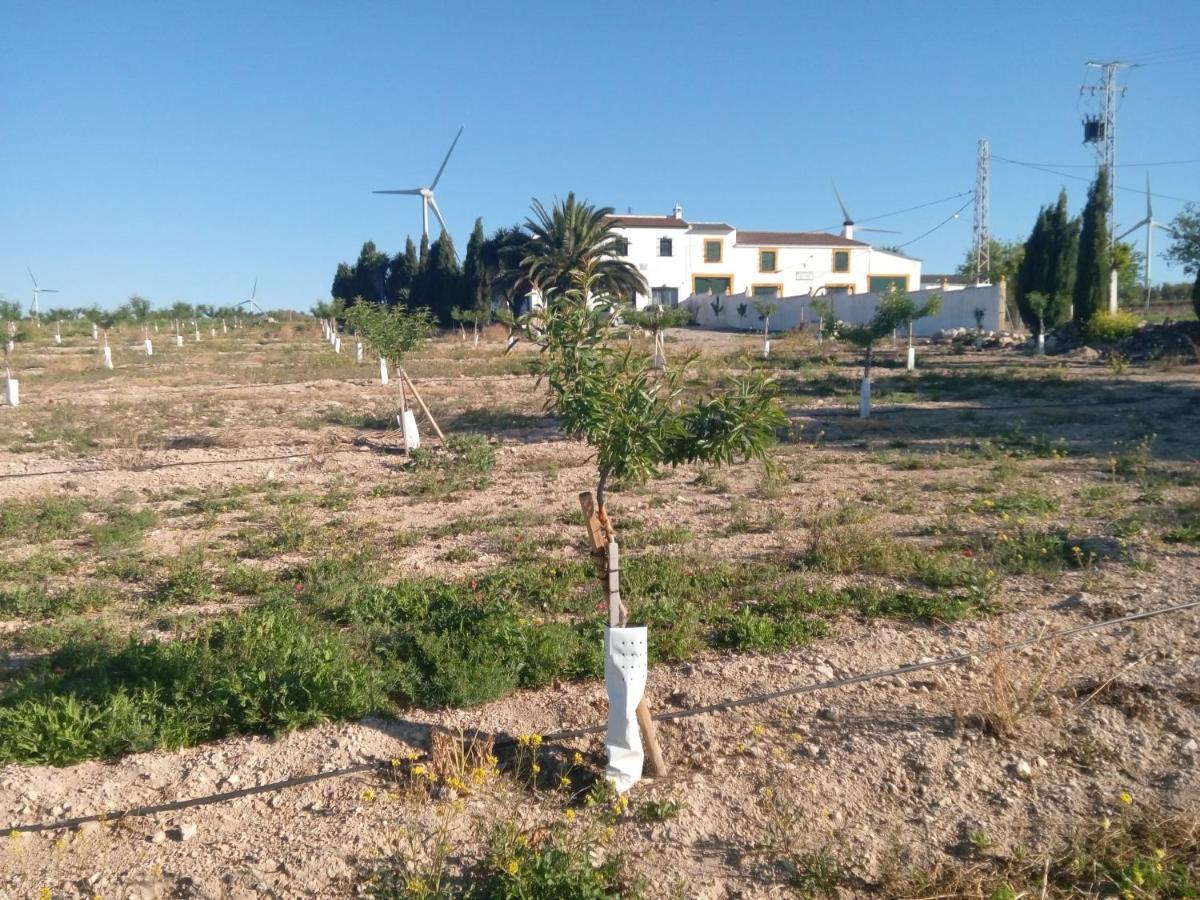 Alojamiento Rural El Orégano, Campillos – Updated 2022 Prices