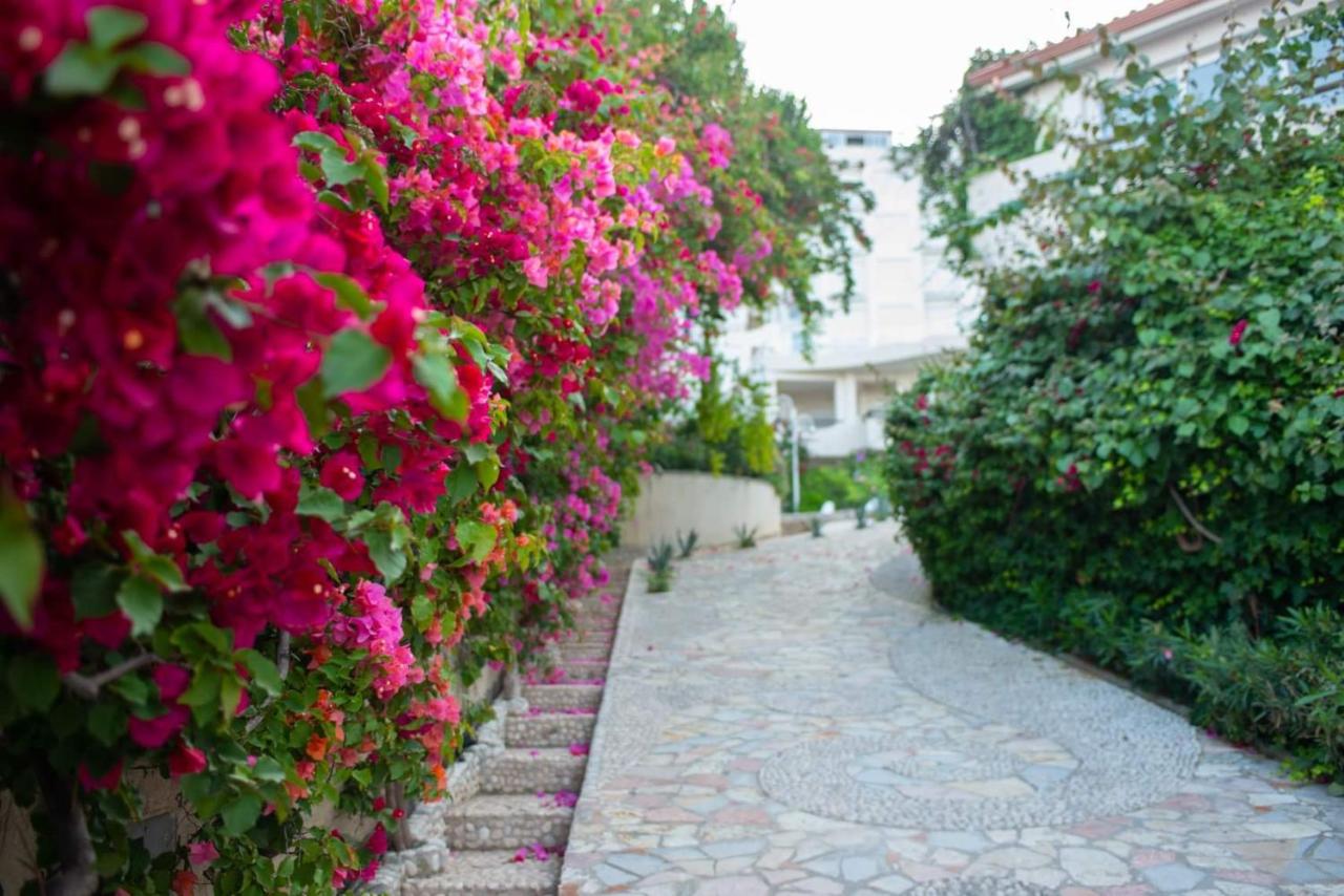 Bougainvill Sunset Villa photo