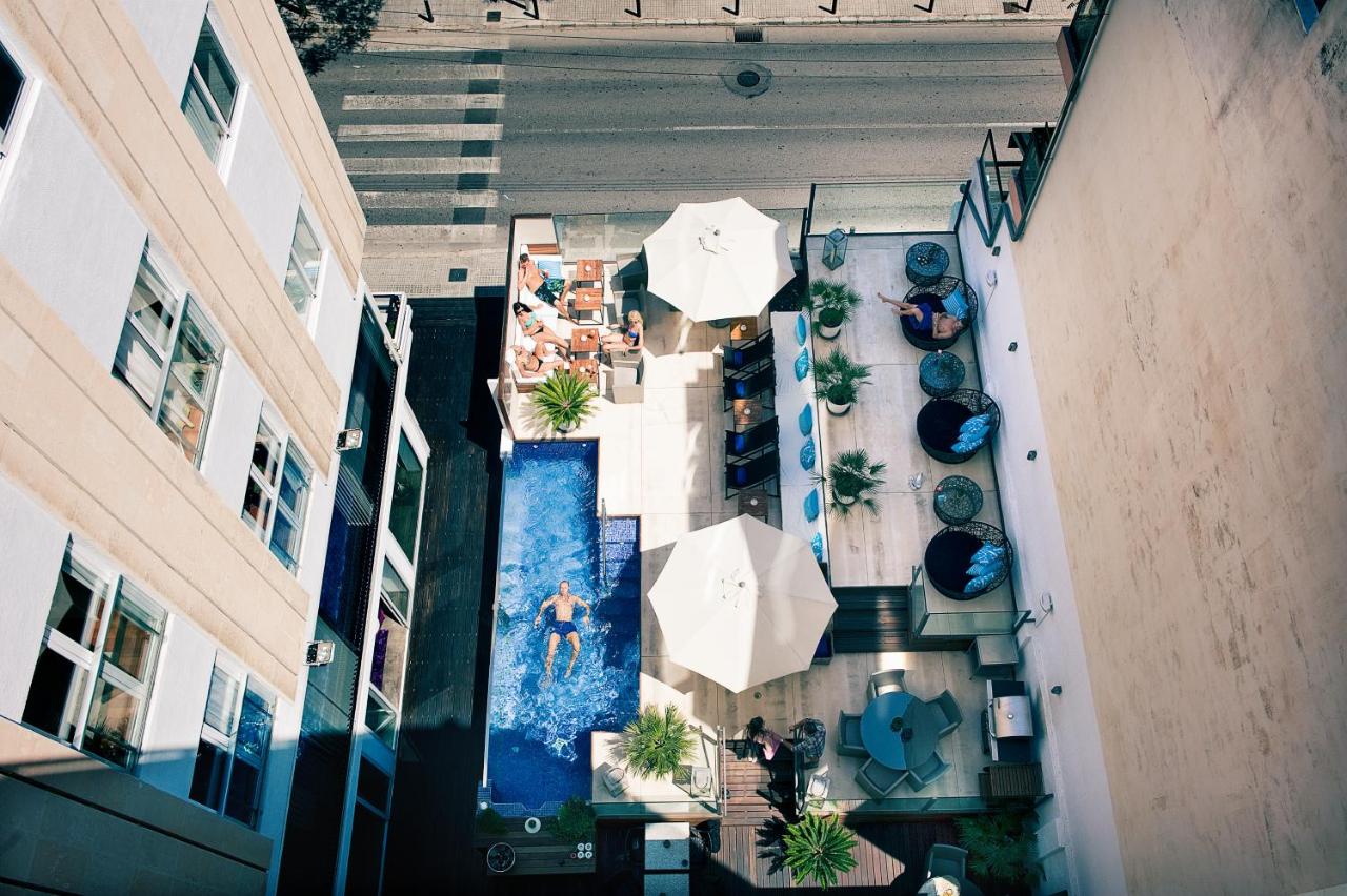 Rooftop swimming pool: Hotel Feliz